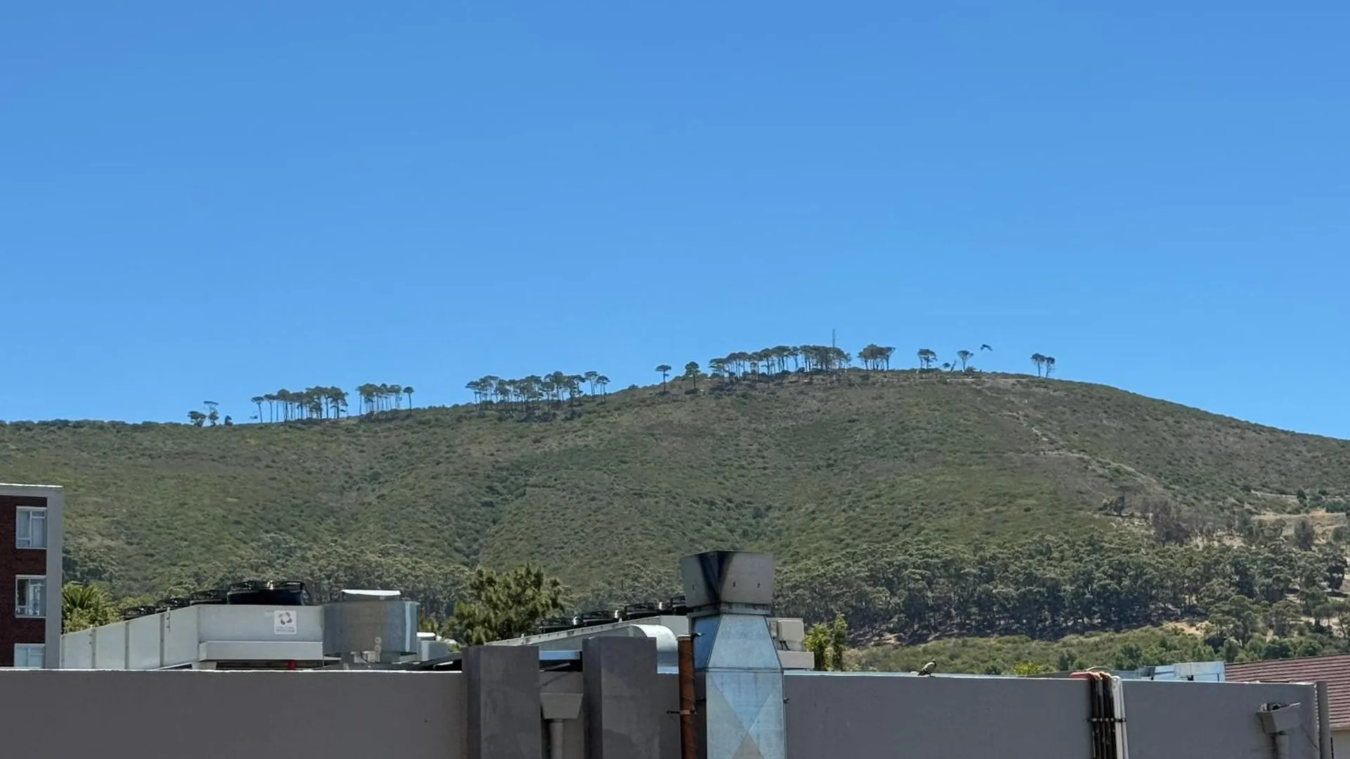 Faulaa Apartment Cape Town South Africa